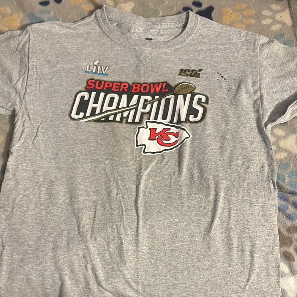 Youth Super Bowl Champions Gray T-Shirt